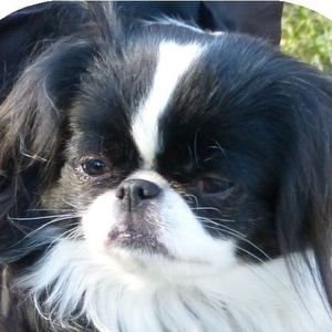 Meet your Posher, Barbara